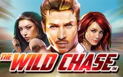 Играть в Tthe Wild Chase